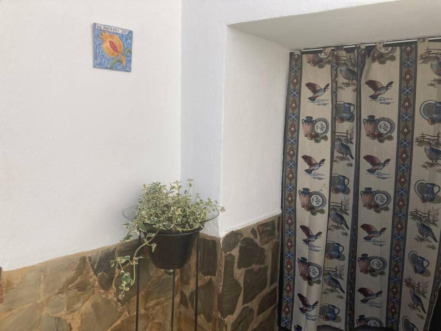 הוילה Casa Cueva Rural Estacion De גואדיקס מראה חיצוני תמונה